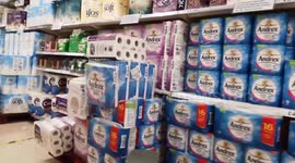 Loo Rolls In Shelves