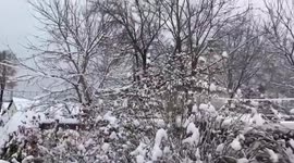 Canada: Explosion Reported At Industrial Zone In Hamilton, Ontario 2