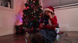 Our Alaskan Malamute Sojou needed persuading to do a Christmas Karaoke with me as she likes to go it alone