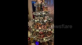 California woman spends 10 years collecting ornaments for Christmas tree village