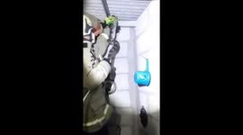 Fire department rescue 7-metre-long python hiding inside attic of home in Jakarta