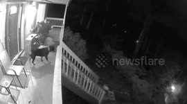 CCTV camera captures moment dog pushes US woman down stairs