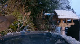 Finally some snow in the West Midlands!