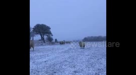 UK: Snow And Ice Warnings Raised As Temperatures Drop Following Storm Bella’s Weekend Onslaught 3