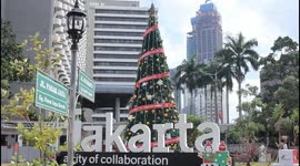Christmas tree in the middle of town.