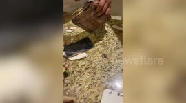 Woman arrested for smuggling gold inside chocolate boxes in western India