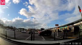 Pigeon waits patiently at zebra crossing so it can cross