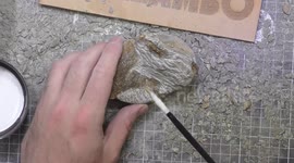 New Zealand fossil hunter discovers 80-million-year-old bone in rock