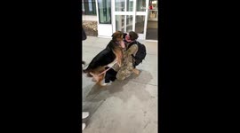Soldier Meeting Her Dog After 6 Months, Airport Surprise