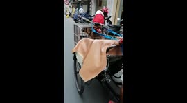Lovely dog was discovered while walking with its owner on a pedicab