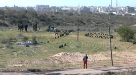 Palestinian armed groups stage military exercise in Gaza