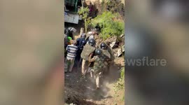 Panic grips Indian village as leopard makes its way into residential area
