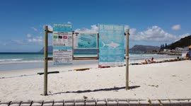 Man builds sand horse sculpture on deserted Cape Town beach
