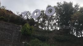 Nainital