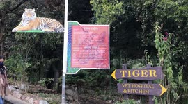 Nainital