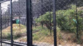 Nainital