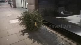 Abandoned  Christmas Tree