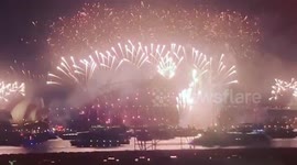 Australians ring in New Year with shortened-but-spectacular fireworks show over Sydney Harbour
