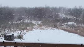 US: Storm Sweeps Through Texas With Snow And Rain On 2020’s Last Day 3