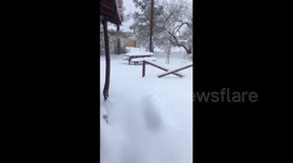 US: Storm Dumps Heavy Snow In Texas In Days Leading To New Year