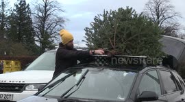 Huge pile of christmas trees at Derbyshire tip on 1st day of 2021