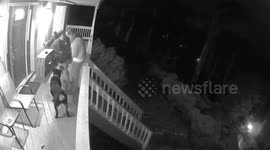 CCTV camera captures moment dog pushes US woman down stairs