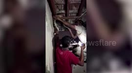 Police officer remove huge python from home in western India