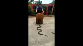 Indonesian firefighters demonstrate how to catch large pythons