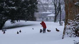 Snow transforms Derbyshire's Pavilion Gardens into winter wonderland