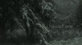 Winter Wonderland  2020