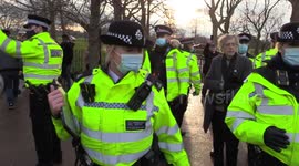 Piers Corbyn Arrest Hyde Park January 2