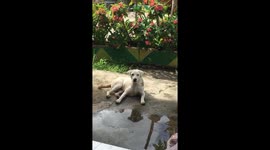 When I’m hungry and I want that cake