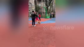 Bark-etball! Tiny 3-year-old corgi is a pro on the court