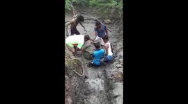 Cow stuck in the mud for two days rescued by fire department in India
