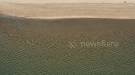 Aerial view Bahía Kino, Sonora, Mexico. sea. tourist destination, travel, Gulf of California, aerial, high angle view, beach, Sea of Cortes, Red Sea, northwest, calm, aerial photography, horizon. Kino Bay