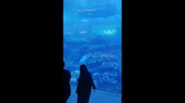 Dubai largets Aquarium