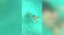This is the mesmerising footage of a beautiful swimmer diving towards a submerged statute in the crystal clear Italian Ocean