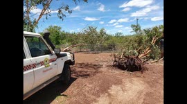 Ex-tropical cyclone Imogen brings ‘life-threatening’ flash flooding warning to Queensland