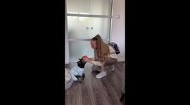 What dogs actually do