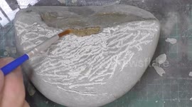 Fossil enthusiast uncovers glowing remnants of 12-million-year-old crab