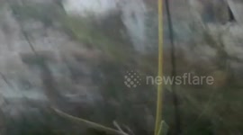 Pair of Indian male bison rescued after 9-hour long rescue operation in southern India