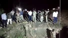 Pair of Indian male bison rescued after 9-hour long rescue operation in southern India