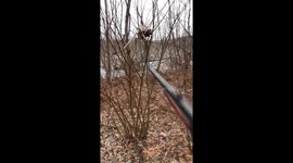 'It's snowing!' This is what happens when you shoot open a bunch of cattails