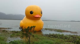 'Abandoned' giant yellow rubber duck floating on lake in Malaysia