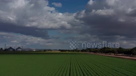 Aerial view of plots, hectares of crops in the town of Marte R Gómez or also called Tobarito, it is an ejido of the municipality of Cajeme, located in the south of the Mexican state of Sonora, in the Yaqui Valley region, 9 kilometers from the head municip