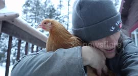 Canada woman says secret to stress relief is 'hug a chicken' therapy