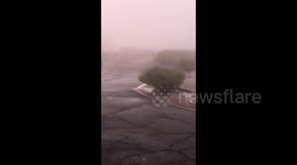Storm Filomena batters Spain bringing snow and strong winds