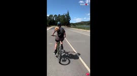 Family Enjoying Bike Ride Picnic With Their Dogs