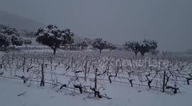 Rare scenes as Storm Filomena blankets Spain with snowfall