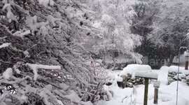 UK: Arctic Freeze Hits Nation With Snow And Ice 4